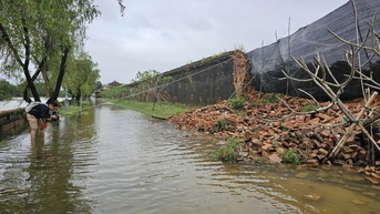 Đề nghị rà soát các khu vực tường Hoàng thành Huế có nguy cơ sạt lở cao