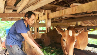 កិច្ចខិតខំប្រឹងប្រែងកាត់បន្ថយភាពក្រីក្រប្រកបដោយនិរន្តរភាពនៅក្នុងខេត្តភ្នំបាង