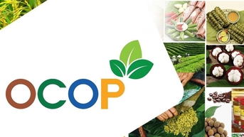 Cách mạng Chuyển đổi số - Phát triển sản phẩm OCOP