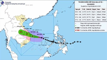 Bão số 13 giật cấp 17, cách Quy Nhơn khoảng 310km