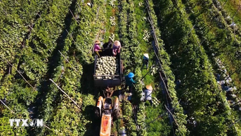 Góp ý dự thảo Văn kiện: Hướng đến nền kinh tế xanh, số hóa và tự cường