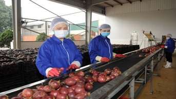 Thúc đẩy xuất khẩu nông sản sang EU