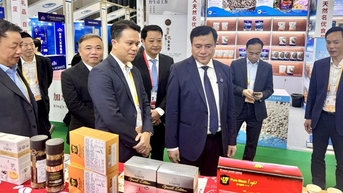 Đưa hàng Việt tiếp cận người tiêu dùng Trung Quốc qua Hội chợ CIIE 2025