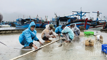 Cảnh báo mưa lớn và lũ trên địa bàn tỉnh Khánh Hòa