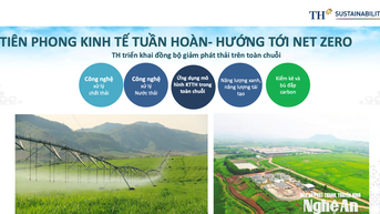 Triển khai các cam kết của Việt Nam về ứng phó biến đổi khí hậu