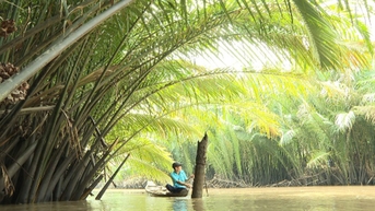 Thần Tài gõ cửa kỳ 807: “Khỏe mạnh” sao chỉ như giấc mơ…