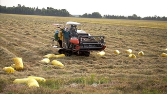 Ngành nông nghiệp duy trì tăng trưởng dù chịu ảnh hưởng của mưa bão