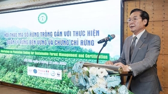 Việt Nam tăng tốc hoàn thiện hệ thống mã số rừng trồng
