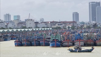 Thủ tướng Chính phủ yêu cầu tập trung triển khai các biện pháp khẩn cấp ứng phó bão số 13