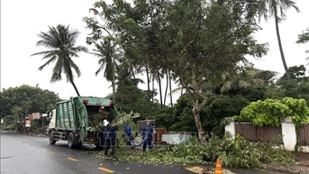 Gấp rút hoàn thành các công đoạn cuối cùng phòng chống bão số 13