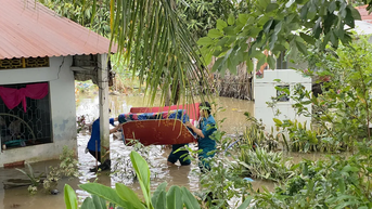Cần Thơ: Triều cường gây vỡ đê bao ở cồn Sơn, nông dân thiệt hại nặng vật nuôi, tài sản