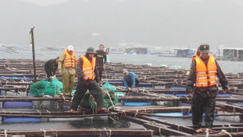 Không để người dân ở lại các lồng bè trên vịnh Vũng Rô