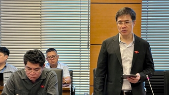 Đồng bộ chính sách quản lý môi trường, khai thác, sử dụng tài nguyên rừng hiệu quả