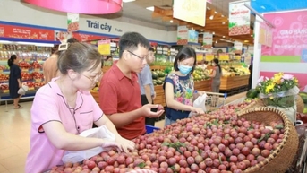 Sơn La phát triển vùng nguyên liệu nông sản đạt chuẩn xuất khẩu