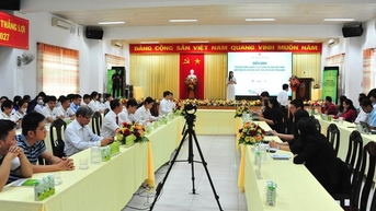 Vinh Long៖ កសាង 'ដើមទុនដូង' ដែលមានតម្លៃខ្ពស់ សម្របខ្លួនទៅនឹងការប្រែប្រួលអាកាសធាតុ