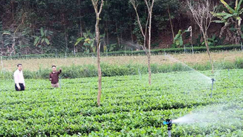 Trợ lực nòng cốt trong công tác giảm nghèo bền vững