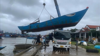 Đảm bảo nguồn cung thực phẩm thiết yếu trong những ngày mưa bão