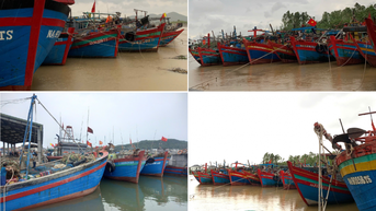 Nghệ An cấp tốc triển khai hành động tháng cao điểm chống khai thác IUU