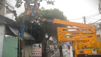 Phường Buôn Ma Thuột cắt tỉa cây xanh bảo đảm an toàn mùa mưa bão