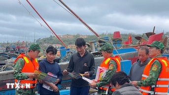 Việt Nam kiên quyết xử lý nghiêm và công khai, minh bạch hành vi vi phạm IUU