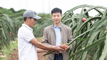 សិក្ខាសាលាវាយតម្លៃដំណោះស្រាយបង្ការ និងកំចាត់សត្វល្អិតលើដើមស្រកានាគ