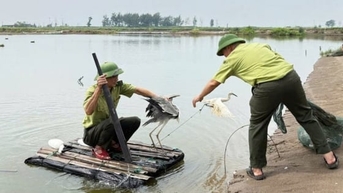 Triển khai các lớp tập huấn nhận thức pháp luật về đa dạng sinh học