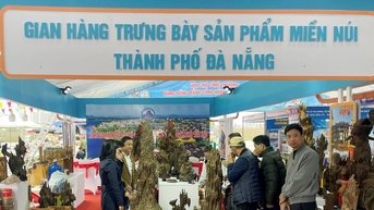 Quảng bá sản phẩm miền núi Đà Nẵng tại thị trường Đồng bằng sông Hồng