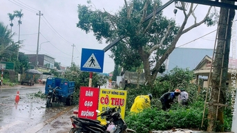 Xã Krông Năng: Tập trung phòng, chống bão số 13