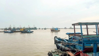 Lâm Đồng phân công lãnh đạo Ủy ban nhân dân...