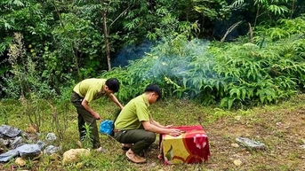 Thả hơn 20 cá thể chim hoang dã về tự nhiên tại xã Du Già