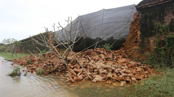 Sập tường trong Hoàng thành Huế: Bộ VH-TT-DL yêu cầu rà soát, ưu tiên khắc phục