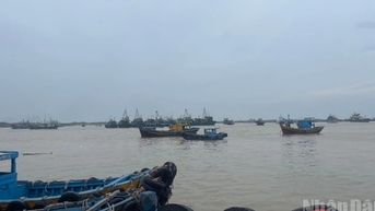 Lâm Đồng: Hơn 4.300 tàu cá đã vào tránh bão...