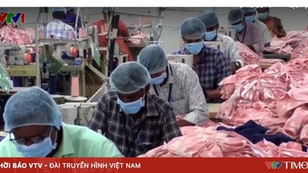 Doanh nghiệp Ấn Độ kêu gọi Chính phủ hỗ trợ trước áp lực thuế quan