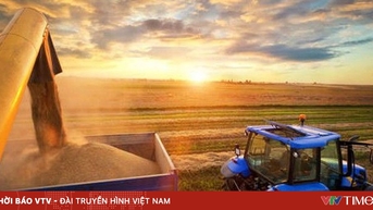Xuất khẩu ngũ cốc của Nga giảm mạnh