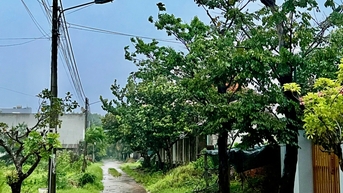 Tăng cường đảm bảo vận hành an toàn hệ thống điện mùa mưa bão