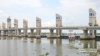 Vận hành cụm cống Cái Lớn - Cái Bé ứng phó với bão Kalmaegi