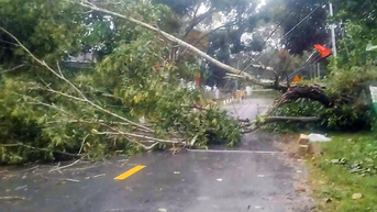 Tạm cấm Tỉnh lộ 9, di dời hơn 600 hộ dân vùng xung yếu đến nơi an toàn