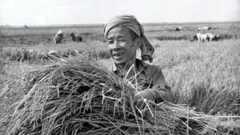 Tri thức nảy mầm trong gian khó, khơi nguồn cho 'cách mạng xanh'