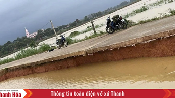 Cần có giải pháp bền vững sau sự cố tràn đê ở Xuân Tín