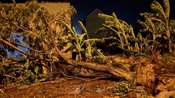 Quảng Ngãi khẩn cấp dời dân trong đêm