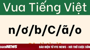 Câu đố khiến 'cao thủ tiếng Việt' cũng phải chào thua