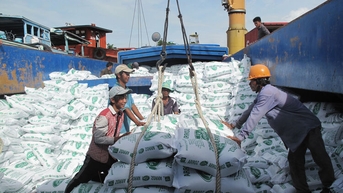 Bài toán tăng giá trị cho gạo Việt