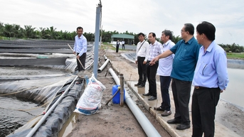 Trao đổi về liên kết sản xuất, tiêu thụ sản phẩm cá rô phi