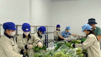 Tin tức đặc biệt trên báo in Hànộimới ngày 7-11-2025