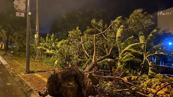 Tin cuối cùng về cơn bão số 13, mưa lớn từ Thanh Hóa đến Đà Nẵng