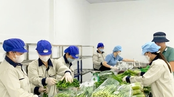 Hà Nội đột phá sản phẩm OCOP từ vùng chuyên canh