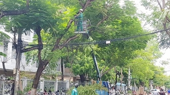 Chủ động phòng chống bão từ sớm