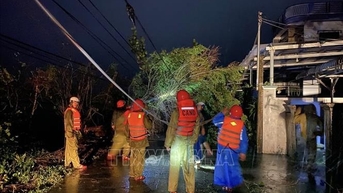 Bão số 13: Lực lượng chức năng tỉnh Đắk Lắk khẩn trương khắc phục hậu quả trong đêm