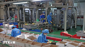 Dự thảo văn kiện ĐH XIV: Khai thác tiềm năng nguồn nhân lực và kinh tế tư nhân