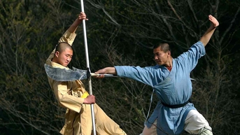 ភូមិកុងហ្វូក្នុងភាពច្របូកច្របល់, សៅលីន, តៃជីក៏ញ័រ